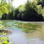 Événement “Bienvenue au jardin au naturel” le 10 juin 2017 evenement-bienvenue-au-jardin-au-naturel-le-10-juin-2017