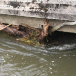 Circulation difficile sous le pont de Montfort-sur-Risle circulation-difficile-sous-le-pont-de-montfort-sur-risle