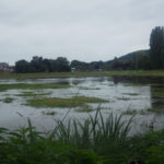 Les pieds dans l’eau… les-pieds-dans-leau