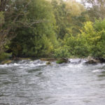 A l’eau, la Risle n°6 a-leau-la-risle-n6